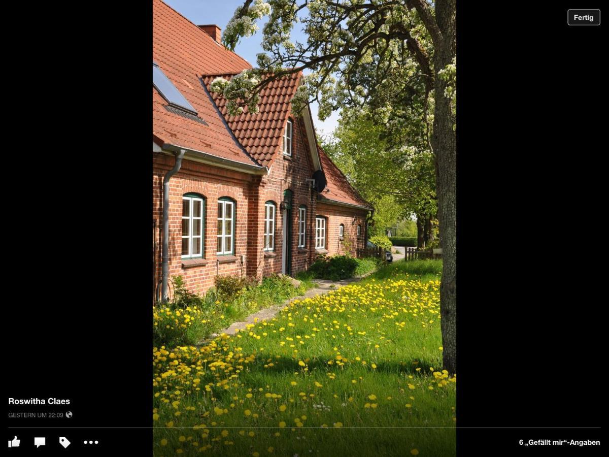 Landhaus Hohenfelde Hohenfelde  Экстерьер фото